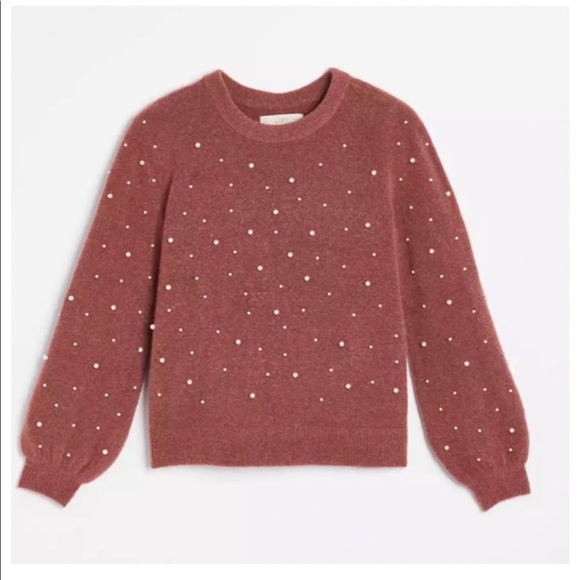 LOFT Sweaters - HP 💫Loft Pearlized beads Soft Knit Softy Fitted Sweater M